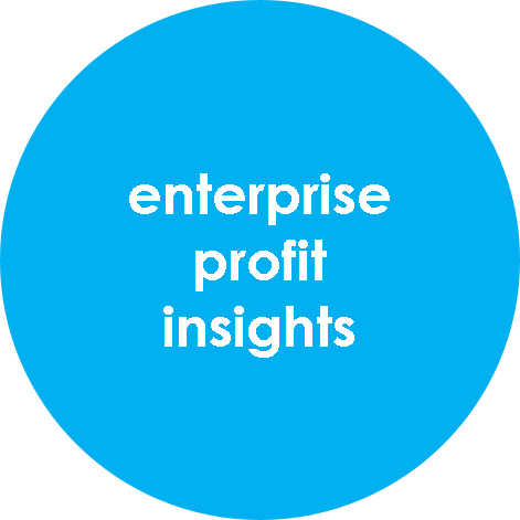 Enterprise Profit Insights