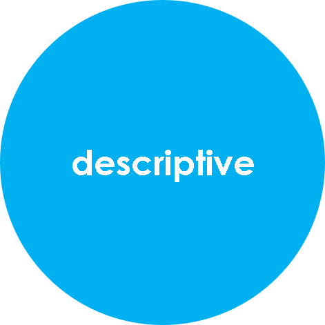 descriptive analytics