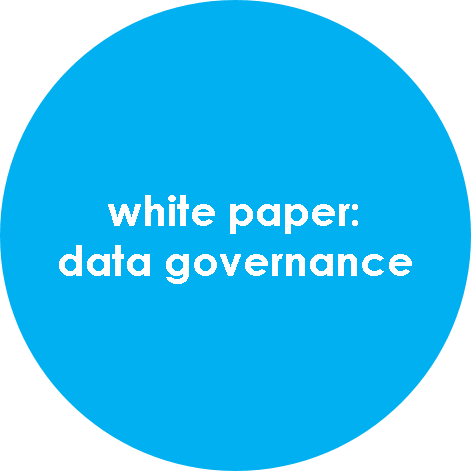 white paper: data governance